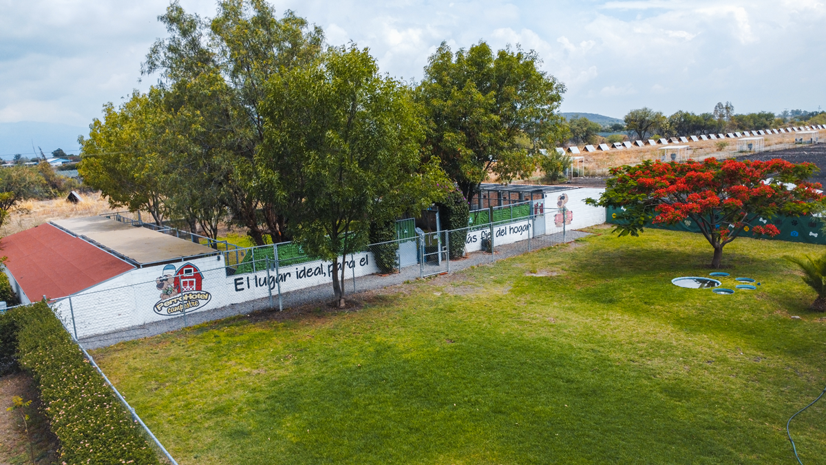 PERROHOTELCAMPESTRE-1
